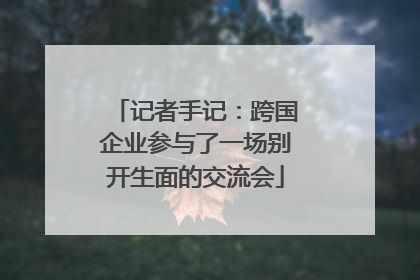 记者手记：跨国企业参与了一场别开生面的交流会