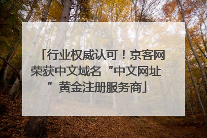 行业权威认可！京客网荣获中文域名“中文网址”黄金注册服务商