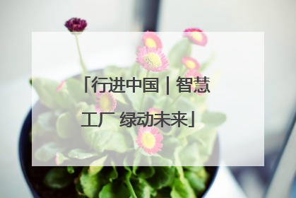 行进中国｜智慧工厂 绿动未来