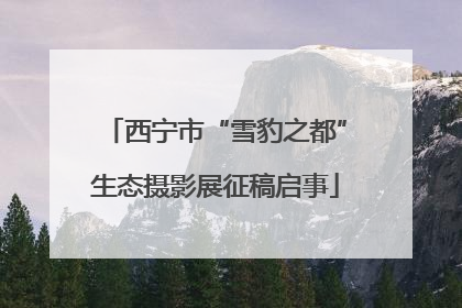 西宁市“雪豹之都”生态摄影展征稿启事