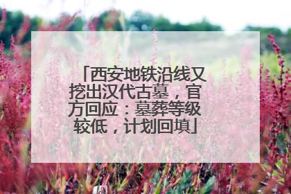 西安地铁沿线又挖出汉代古墓，官方回应：墓葬等级较低，计划回填