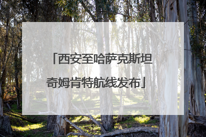 西安至哈萨克斯坦奇姆肯特航线发布