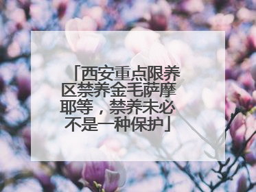 西安重点限养区禁养金毛萨摩耶等，禁养未必不是一种保护