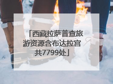 西藏拉萨普查旅游资源含布达拉宫共7799处