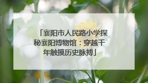 襄阳市人民路小学探秘襄阳博物馆：穿越千年触摸历史脉搏