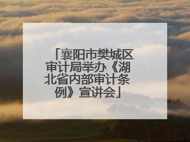 襄阳市樊城区审计局举办《湖北省内部审计条例》宣讲会