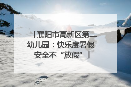 襄阳市高新区第二幼儿园：快乐度暑假 安全不“放假”