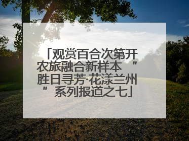 观赏百合次第开 农旅融合新样本 “胜日寻芳·花漾兰州”系列报道之七
