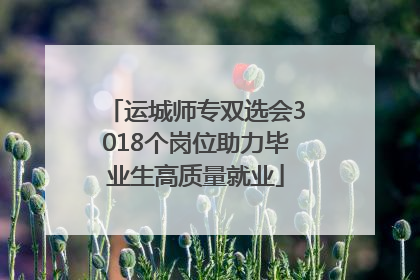 运城师专双选会3018个岗位助力毕业生高质量就业