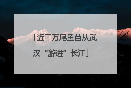 近千万尾鱼苗从武汉“游进”长江