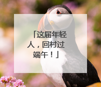 这届年轻人，回村过端午！