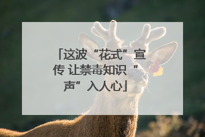 这波“花式”宣传 让禁毒知识“声”入人心