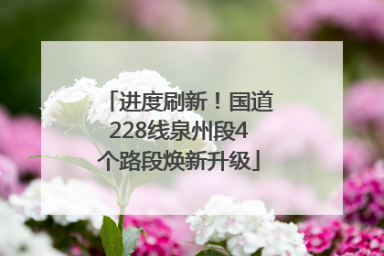 进度刷新！国道228线泉州段4个路段焕新升级