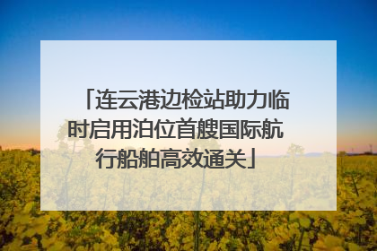 连云港边检站助力临时启用泊位首艘国际航行船舶高效通关