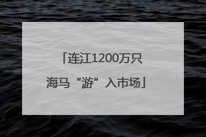 连江1200万只海马“游”入市场
