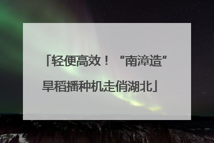 轻便高效！“南漳造”旱稻播种机走俏湖北