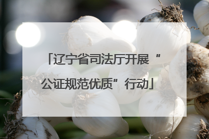 辽宁省司法厅开展“公证规范优质”行动