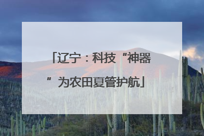 辽宁：科技“神器”为农田夏管护航