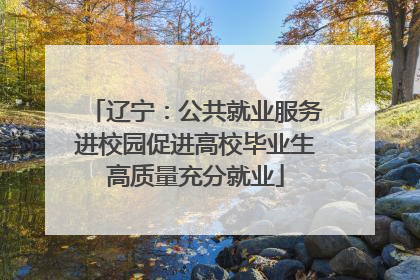 辽宁：公共就业服务进校园促进高校毕业生高质量充分就业