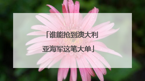 谁能抢到澳大利亚海军这笔大单