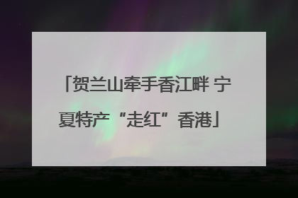 贺兰山牵手香江畔 宁夏特产“走红”香港