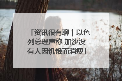 资讯很有聊｜以色列总理声称 加沙没有人因饥饿而消瘦