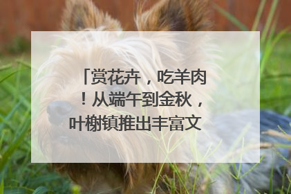 赏花卉，吃羊肉！从端午到金秋，叶榭镇推出丰富文旅活动邀您爽玩