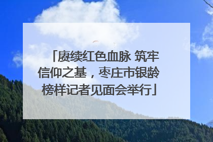 赓续红色血脉 筑牢信仰之基，枣庄市银龄榜样记者见面会举行