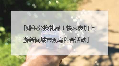 赚积分换礼品！快来参加上游新闻城市观鸟科普活动