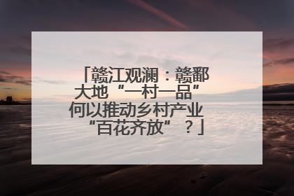 赣江观澜：赣鄱大地“一村一品”何以推动乡村产业“百花齐放”？