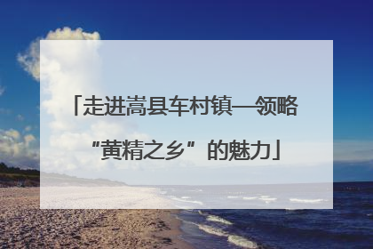 走进嵩县车村镇—领略“黄精之乡”的魅力