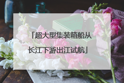 超大型集装箱船从长江下游出江试航