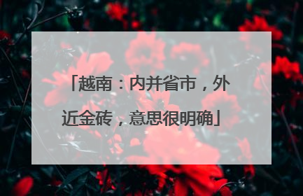 越南：内并省市，外近金砖，意思很明确