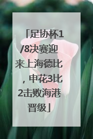 足协杯1/8决赛迎来上海德比，申花3比2击败海港晋级