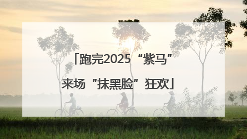 跑完2025“紫马” 来场“抹黑脸”狂欢
