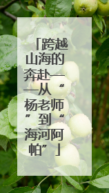 跨越山海的奔赴——从“杨老师”到“海河阿帕”