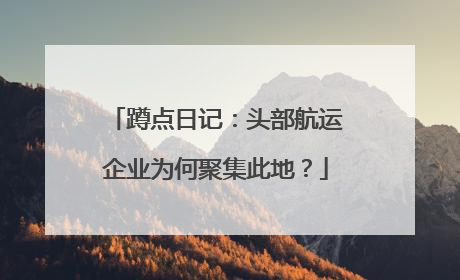 蹲点日记：头部航运企业为何聚集此地？
