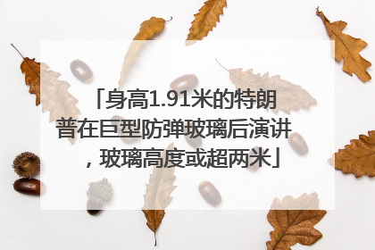 身高1.91米的特朗普在巨型防弹玻璃后演讲，玻璃高度或超两米