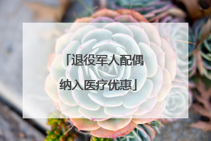退役军人配偶纳入医疗优惠