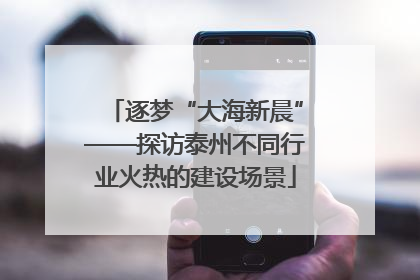 逐梦“大海新晨”——探访泰州不同行业火热的建设场景