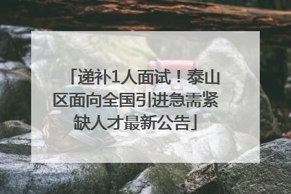 递补1人面试！泰山区面向全国引进急需紧缺人才最新公告