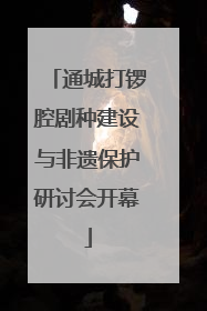 通城打锣腔剧种建设与非遗保护研讨会开幕