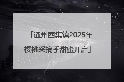 通州西集镇2025年樱桃采摘季甜蜜开启