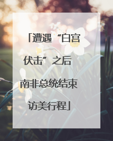 遭遇“白宫伏击”之后 南非总统结束访美行程