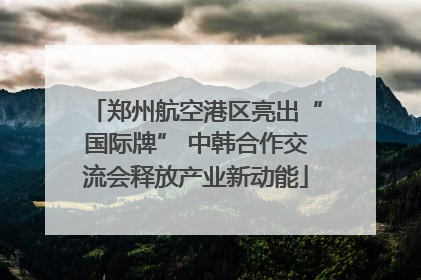 郑州航空港区亮出“国际牌” 中韩合作交流会释放产业新动能