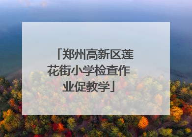 郑州高新区莲花街小学检查作业促教学