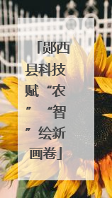 郧西县科技赋“农”“智”绘新画卷