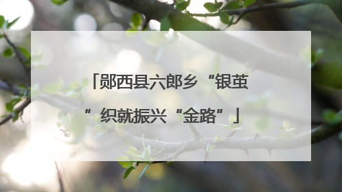 郧西县六郎乡“银茧”织就振兴“金路”