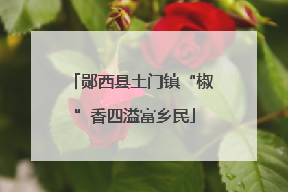 郧西县土门镇“椒”香四溢富乡民