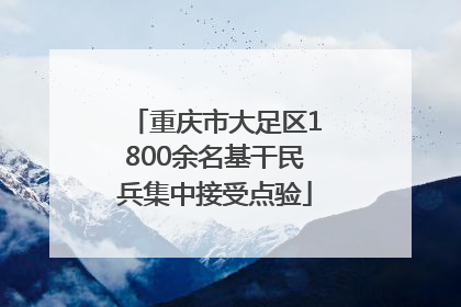 重庆市大足区1800余名基干民兵集中接受点验